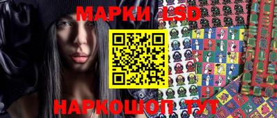 сатива Краснодар