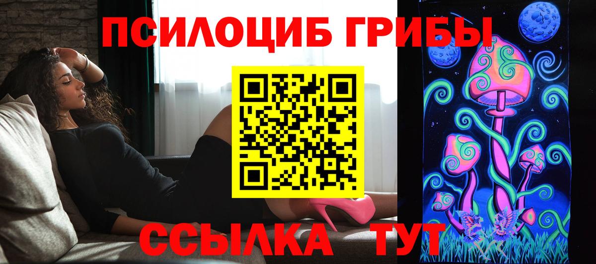 Псилоцибиновые грибы GOLDEN TEACHER  где продают наркотики  Калининград  Вход с VPN 